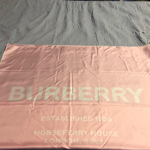 Authentic Burberry Scarf - Picture 1 of 4